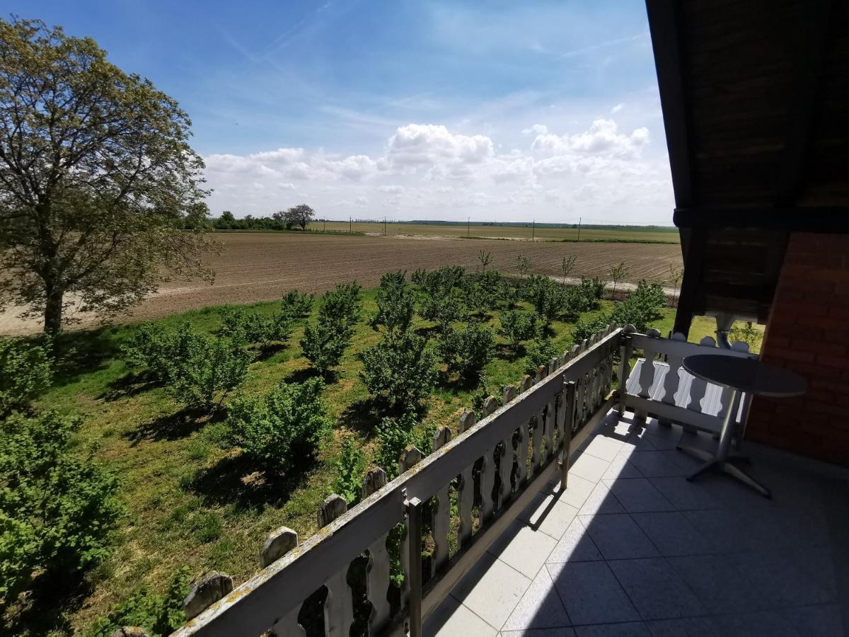 Villa Kuca Za Odmor Bella Sotin Exterior foto