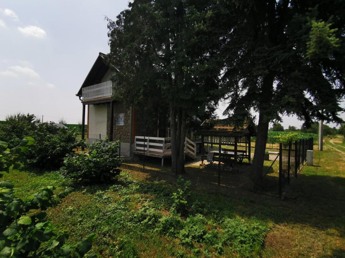 Villa Kuca Za Odmor Bella Sotin Exterior foto